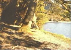 grassmere