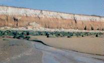 norfolk coast