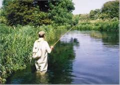 River test fly fishing