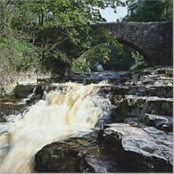 swale