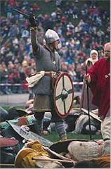 vikings jorvik